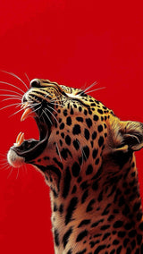 Leopard roaring with a red background