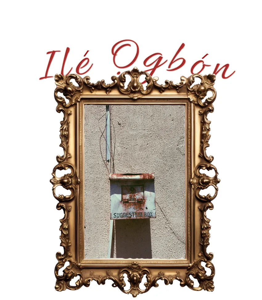 T-shirt ILE OGBON